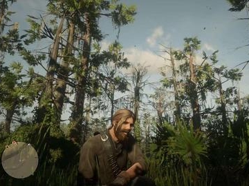 图片[4]-荒野大镖客2 完美整合收藏版-老张资源网